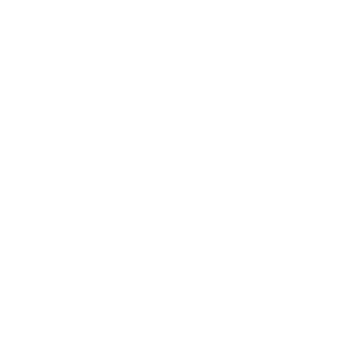 Avenir Logo